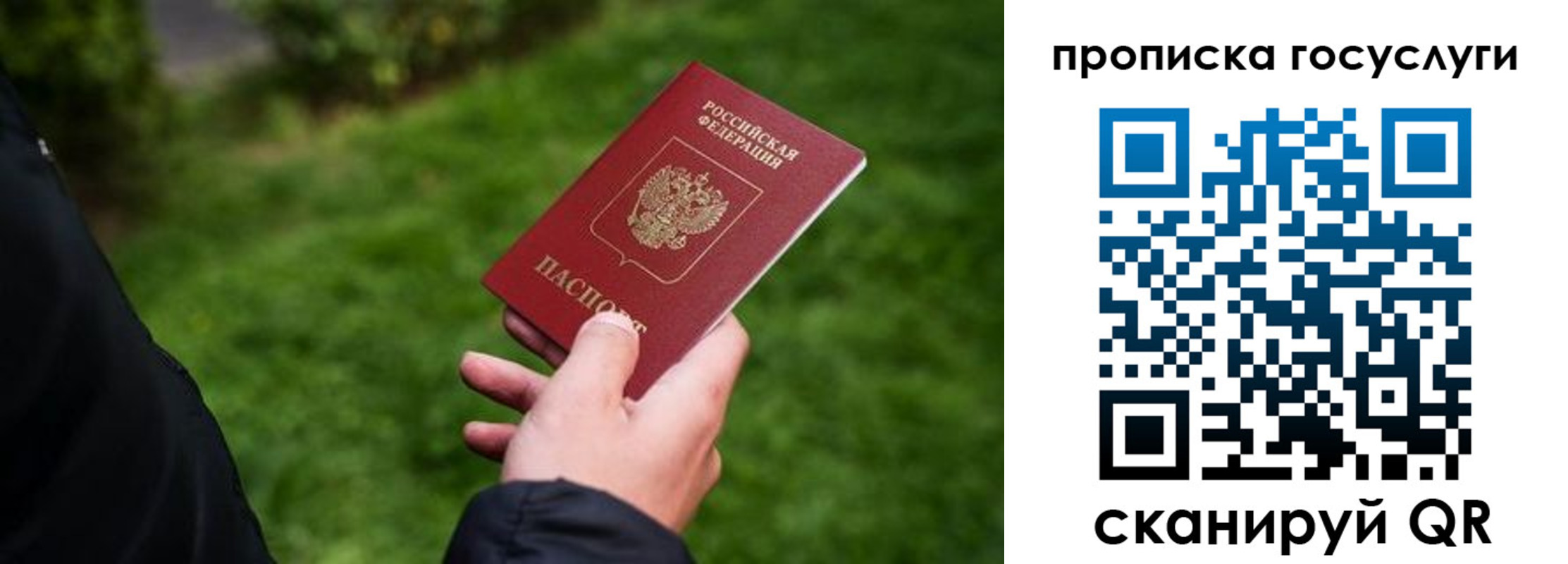 прописка для работы в Марий Эл